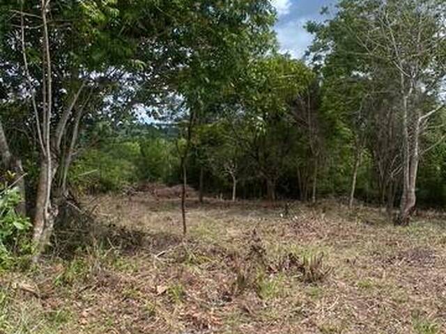 #501 - Terreno para Venda em Conde - PB - 2