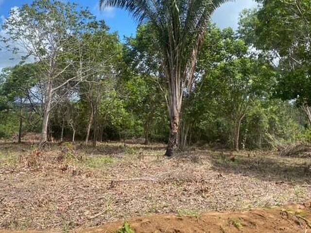 #501 - Terreno para Venda em Conde - PB - 3